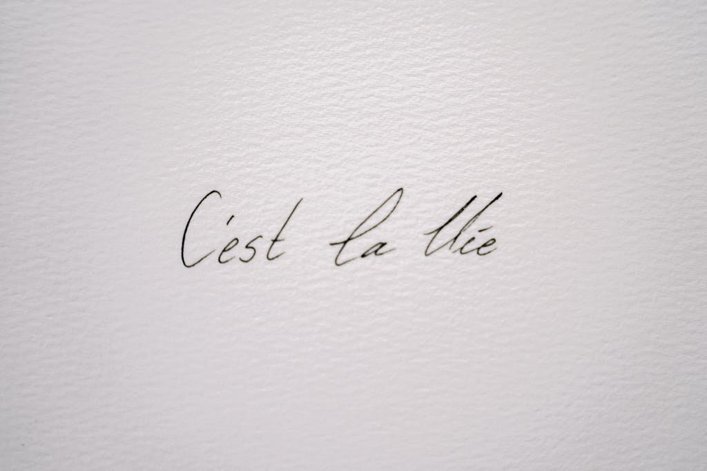 Close-up of a basic French phrase 'C'est la Vie' on textured paper, perfect for backgrounds.