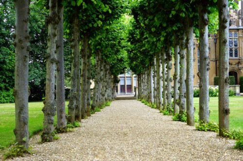 GERMANY ITINERARY Peaceful garden walkway with trees leading to a historic building.