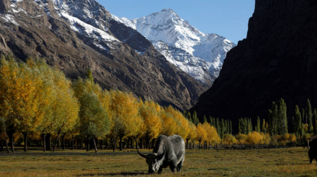 A beautiful valley between mountains