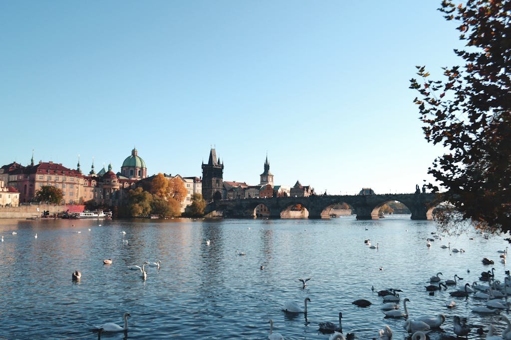 15 Cheapest Cities in Europe to Visit If You Love Traveling on a Budget 1 Charles Bridge and swans on Vltava River, Prague. One of the cheapest cities in Europe to visit