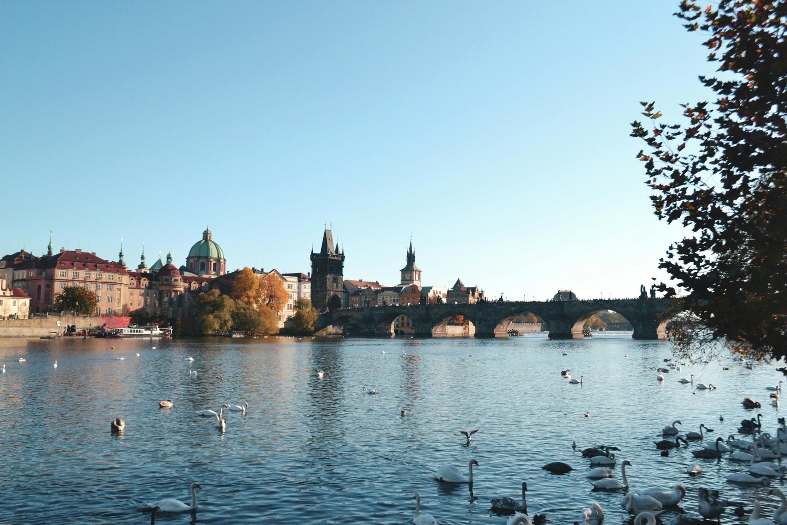 15 Cheapest Cities in Europe to Visit If You Love Traveling on a Budget 1 Charles Bridge and swans on Vltava River, Prague. One of the cheapest cities in Europe to visit