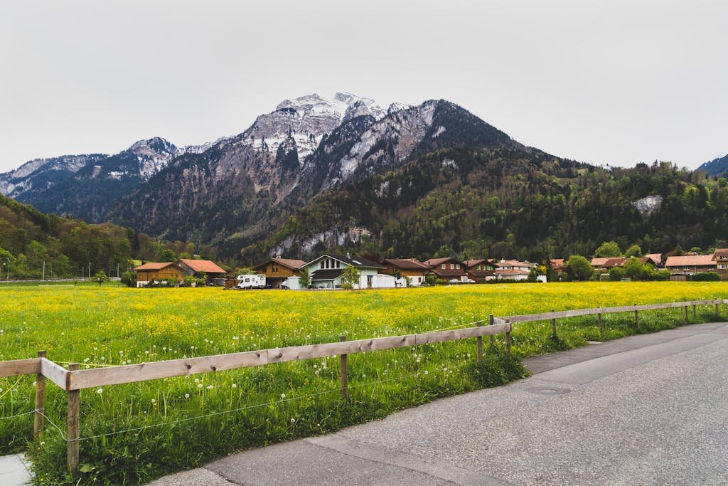 How to Spend the Perfect 5 Days in Switzerland Itinerary? 11 Charming Swiss village surrounded by lush fields and stunning mountain backdrop in Interlaken.