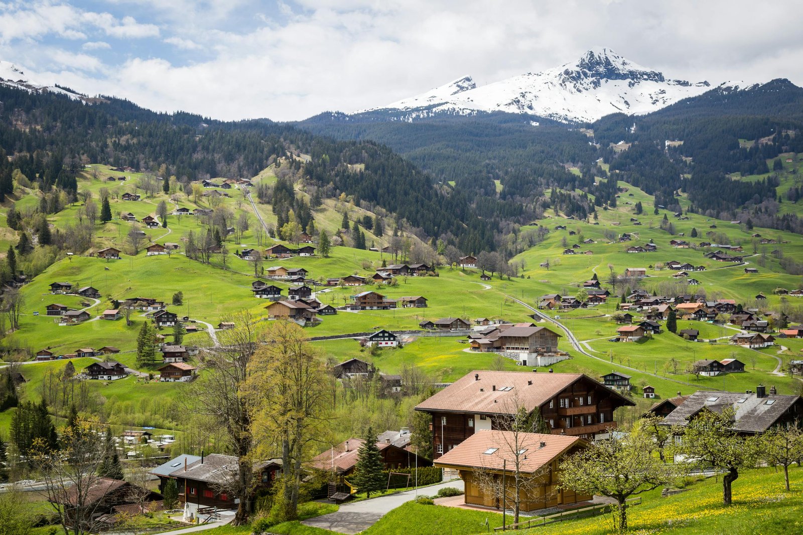 How to Spend the Perfect 5 Days in Switzerland Itinerary? 1 Charming village surrounded by lush green hills and snowy mountains in Interlaken, Switzerland.