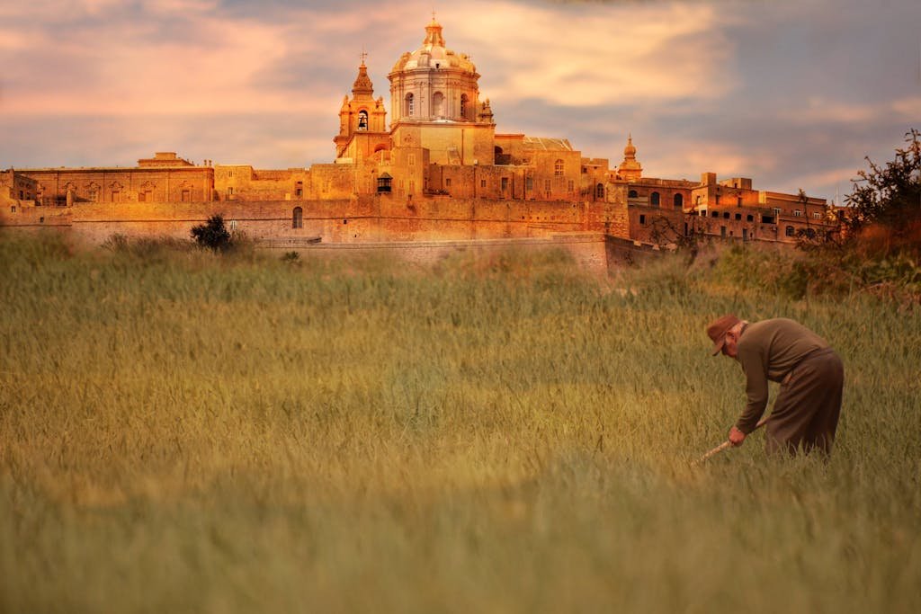A person working in a field at sunset with the majestic Mdina Cathedral in the background.