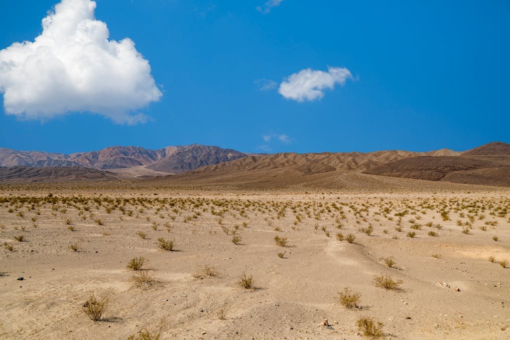 A vast desert scene with sparse vegetation under a bright blue sky and clouds.