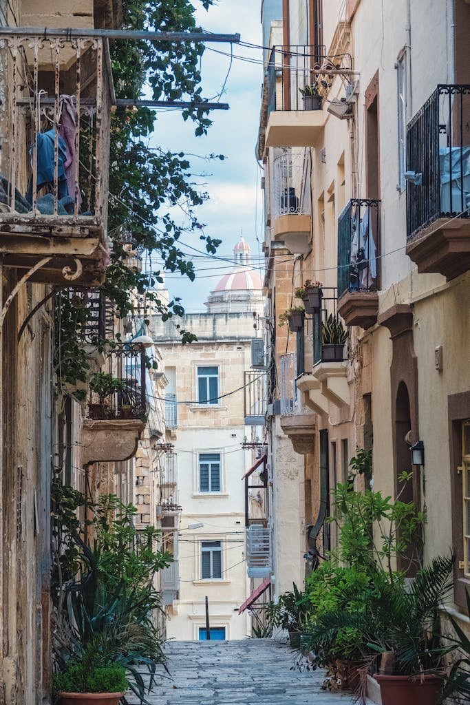 Discover the quaint beauty of a narrow Maltese alley adorned with lush plants and historic buildings.
