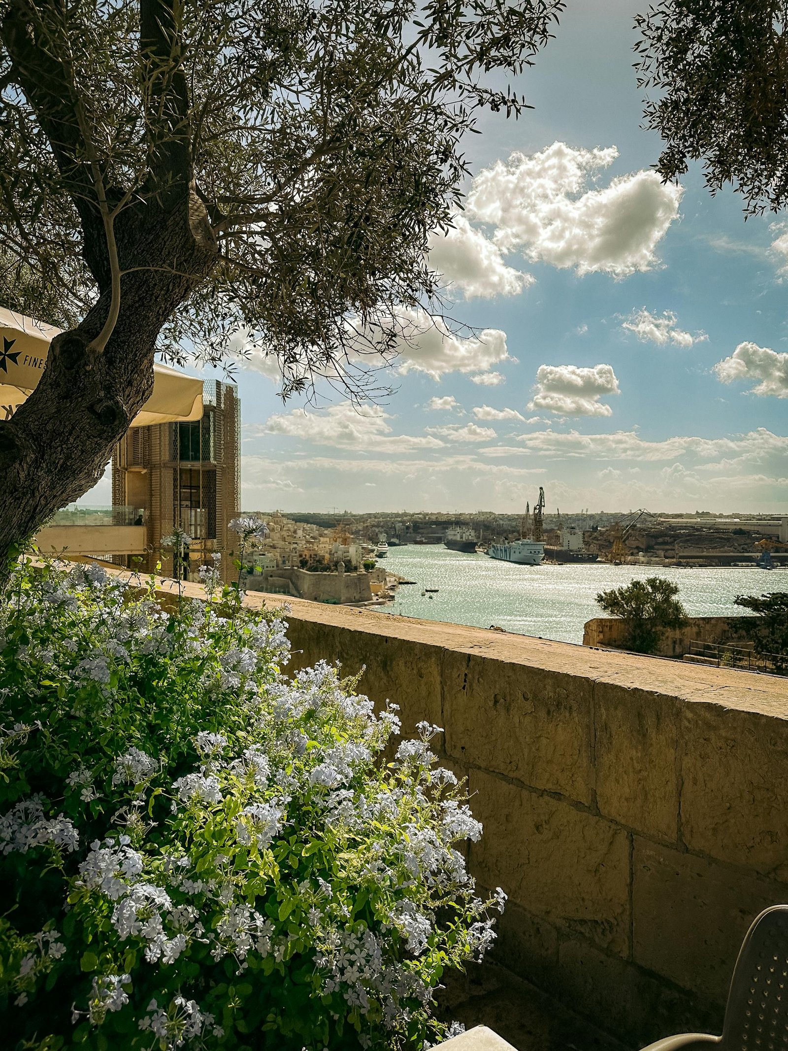 Explore the stunning view of Valletta, Malta from a garden overlooking the historic harbor.