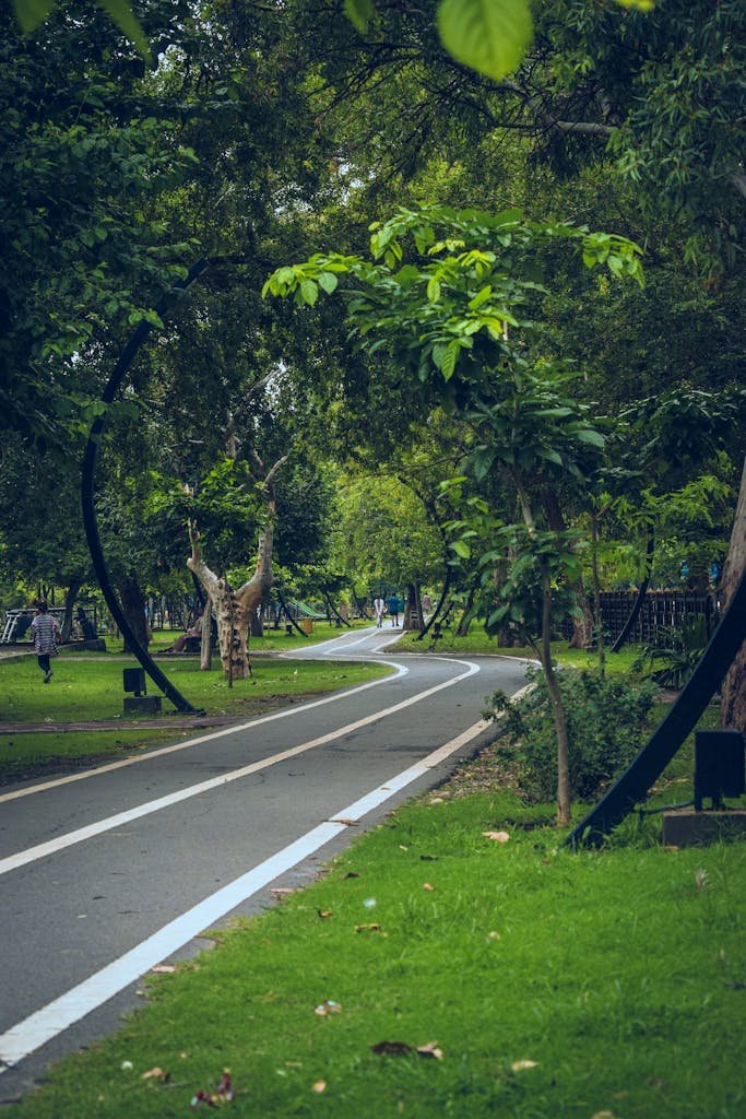 Serene view of a winding path through a verdant park in Islamabad, surrounded by lush trees.