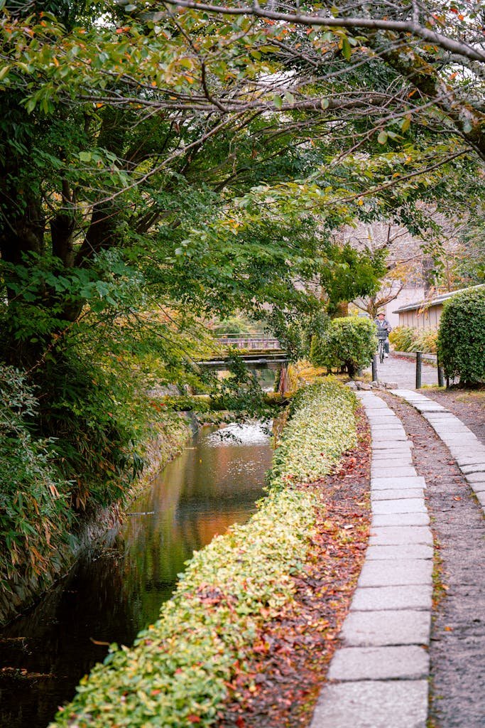14 Best Things to Do in Kyoto, Japan + Travel Tips (2026) 13 Beautiful autumn scene along Kyoto's Philosopher's Walk with greenery beside a peaceful canal.