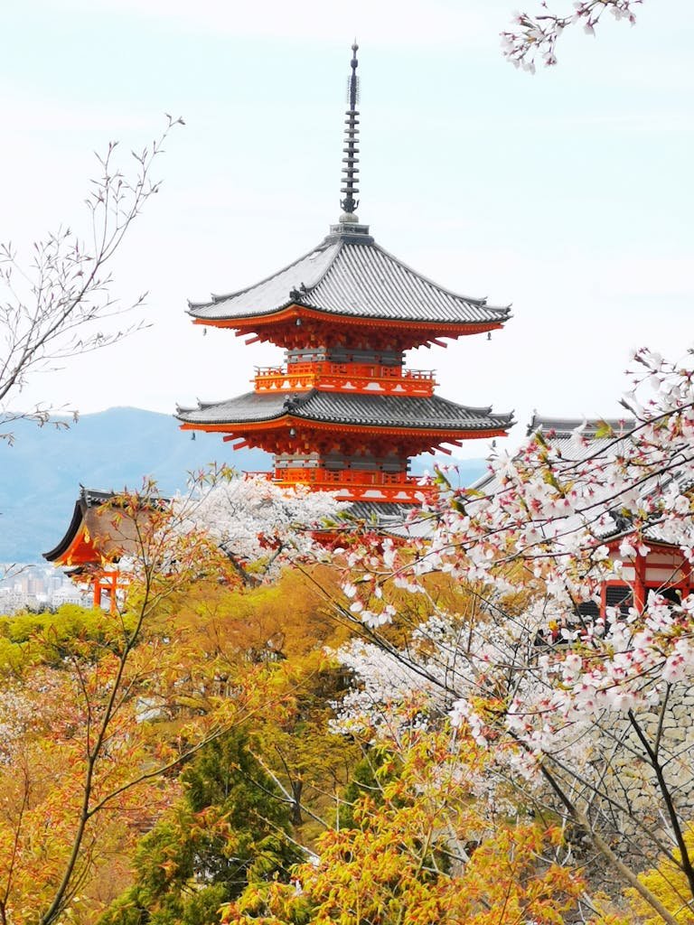 14 Best Things to Do in Kyoto, Japan + Travel Tips (2026) 4 Scenic view of Kiyomizu-dera Temple surrounded by cherry blossoms in Kyoto, Japan.