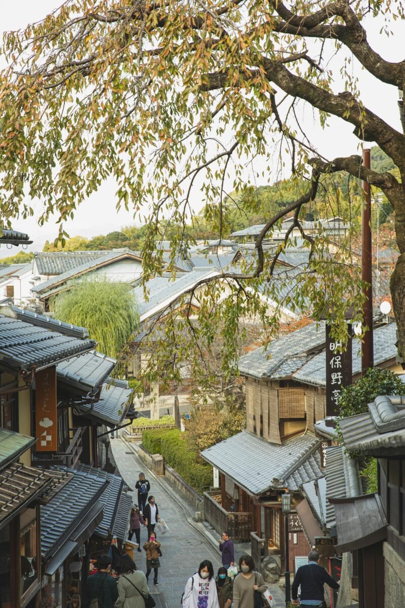 14 Best Things to Do in Kyoto, Japan + Travel Tips (2026) 2 Traditional oriental buildings around narrow pavement street with various vegetation and unrecognizable tourists best things to do in Kyoto