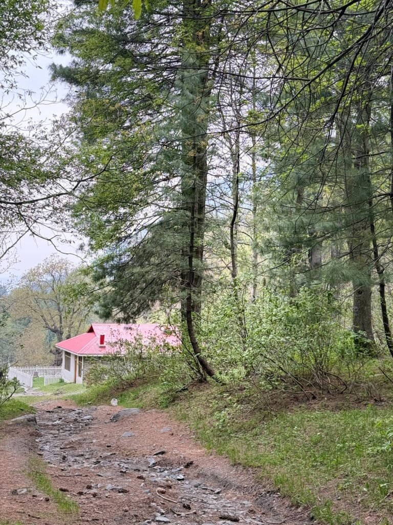 KPK Camping Pods in Sharan Forest