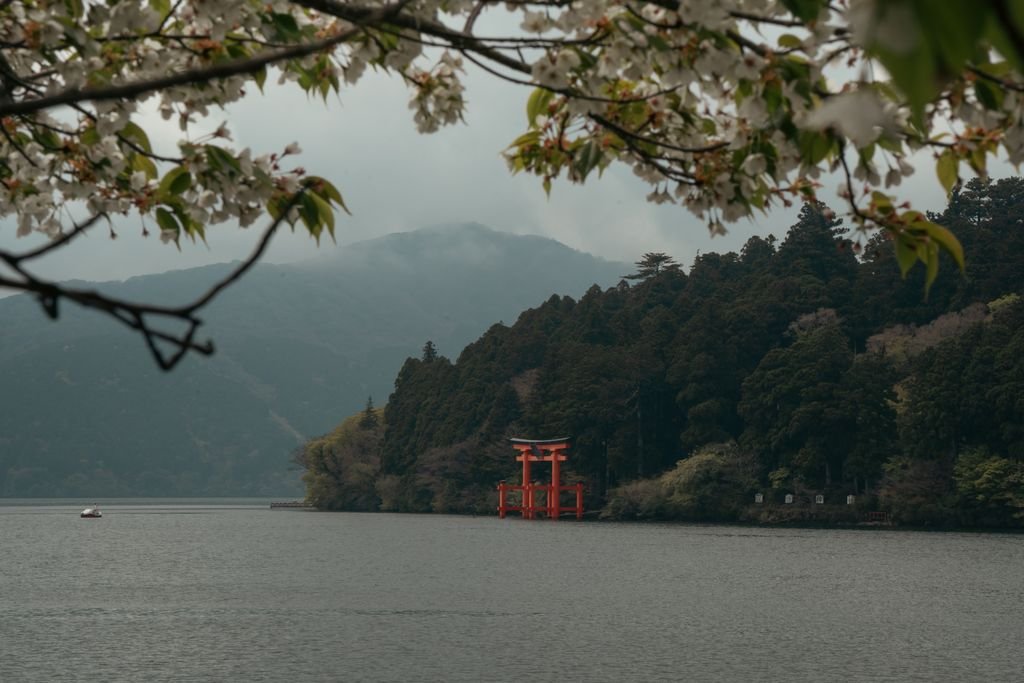 A serene view of Hakone Shrine's torii gate on Lake Ashi framed by spring blossoms.