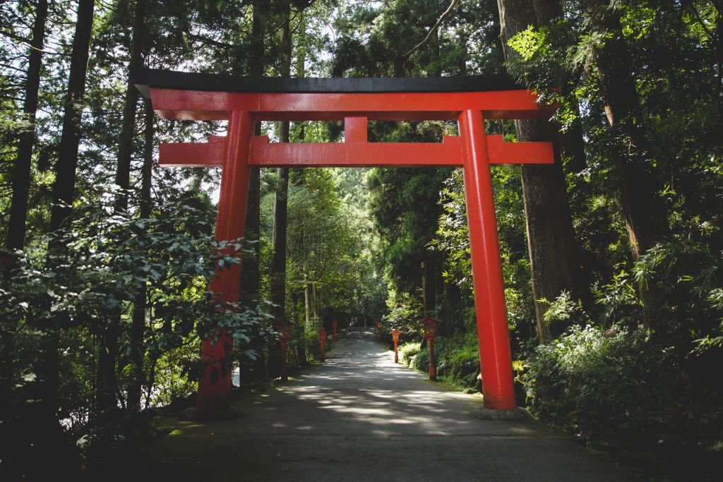 Discover the iconic red Torii gate nestled in a serene forest setting in Hakone, Japan.
