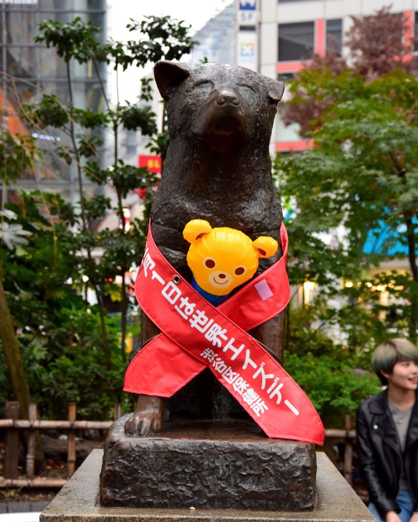 19 Best Things to Do in Shibuya, Tokyo: Food, Shopping & Tips 4 Iconic Hachiko Statue adorned with decorations in Shibuya, Tokyo, Japan.