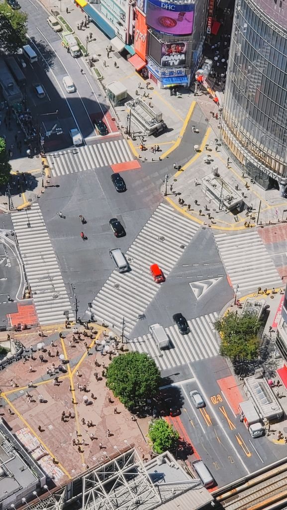 19 Best Things to Do in Shibuya, Tokyo: Food, Shopping & Tips 12 Iconic Shibuya Crossing bustling with people and cars in Tokyo, Japan.