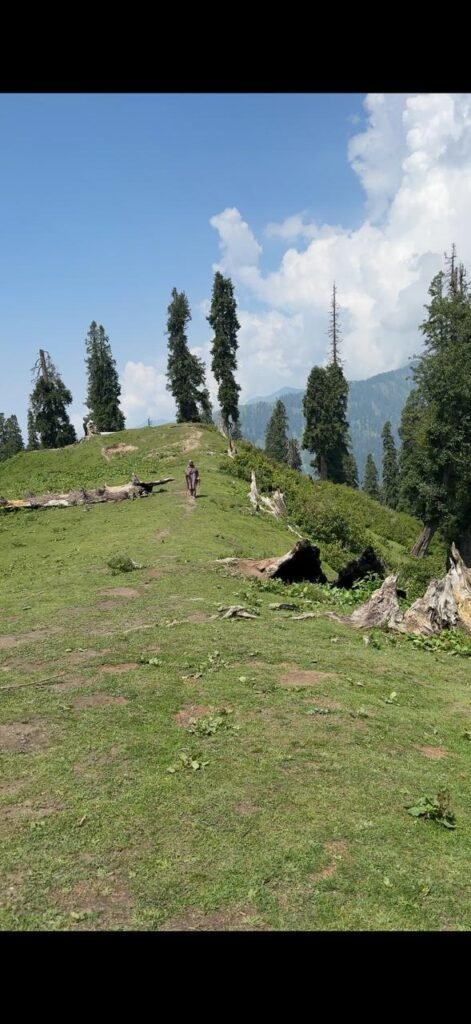 View from Manshi Top 1 overlooking Sharan Forest and nearby mountains