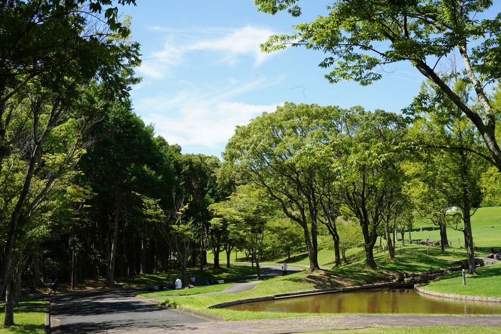 Peaceful scenic view of a park with a path and pond under green trees and blue sky.