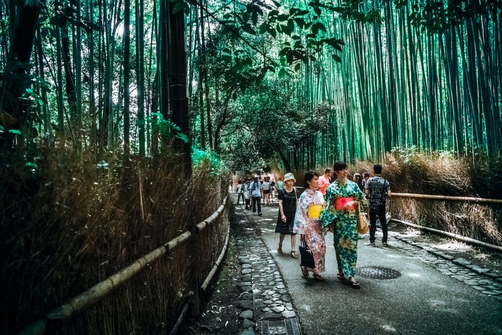 Arashiyama Bamboo Forest Kyoto: Is It Worth Visiting? 3 Tourists in traditional attire walk through Japan's iconic Arashiyama bamboo grove, capturing the tranquil essence of Kyoto's natural beauty.