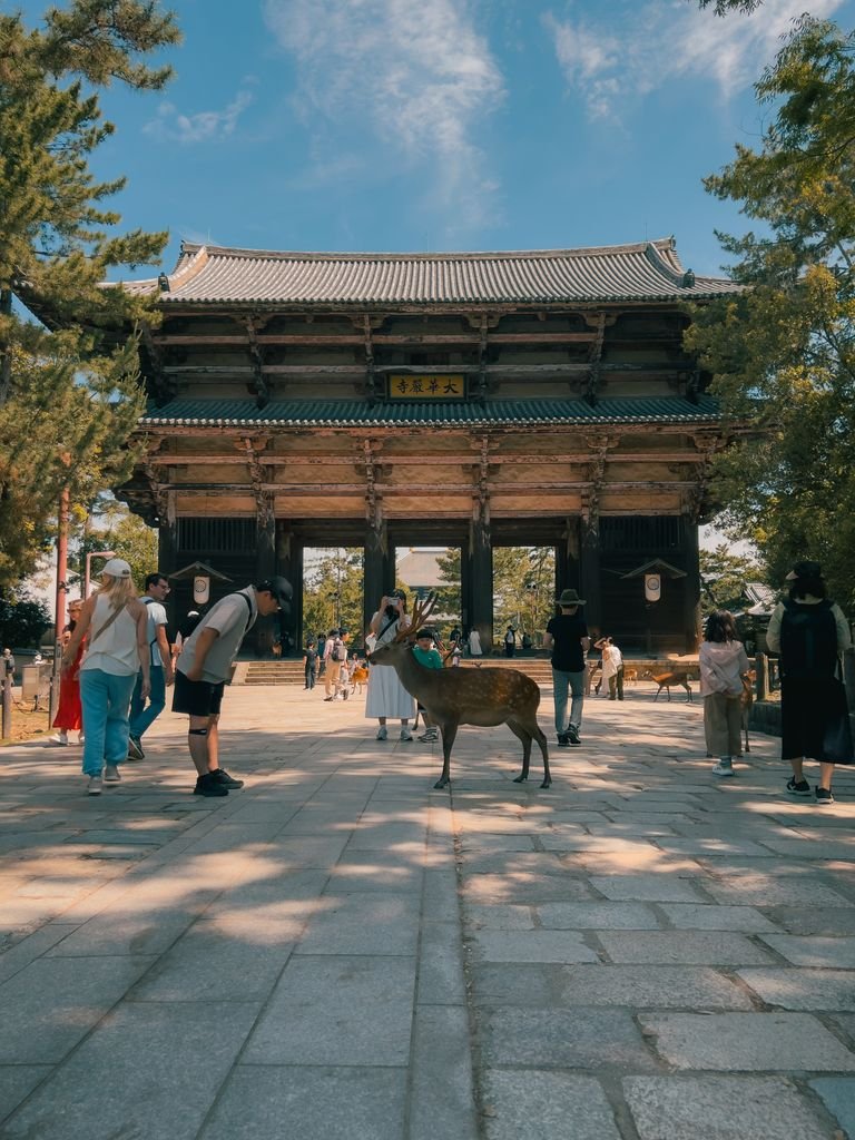 Nara Day Trip Guide: 10 Best Things to Do in Nara 3 Tourists interact with freely roaming deer in front of Nandaimon Gate at Nara Park, Japan.