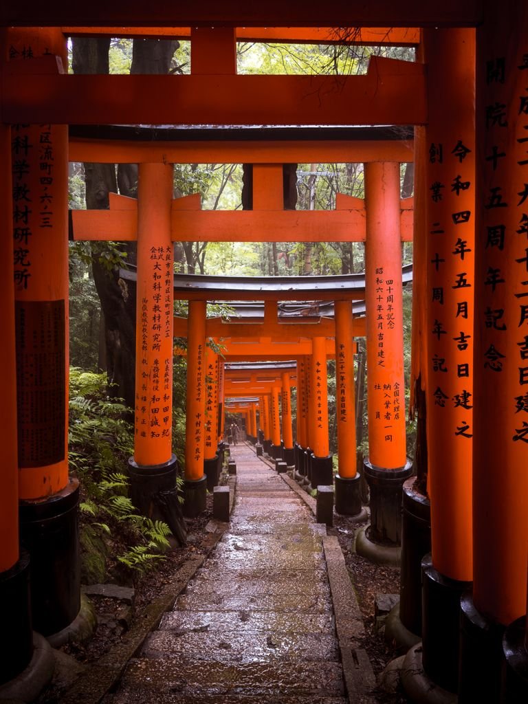 Vibrant torii gates leading a path at Fushimi Inari Shrine in Kyoto, Japan. A serene cultural landmark.