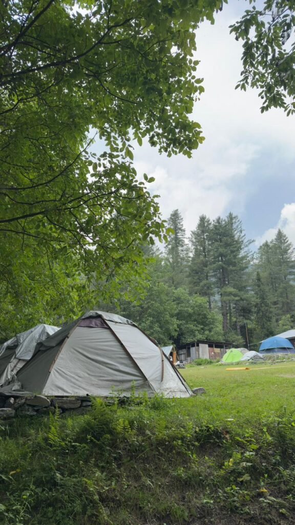Camping in Sharan Forest