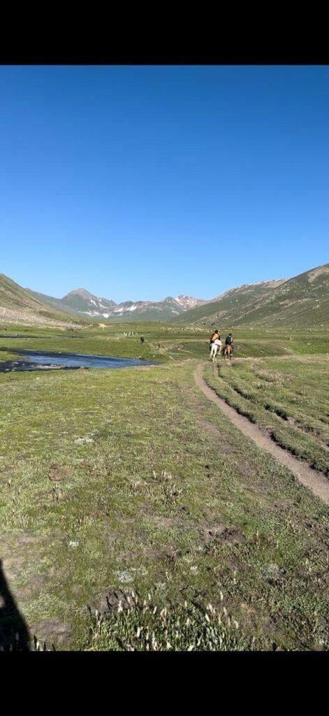 Horses carrying camping gear on the Dudipatsar Lake trek
