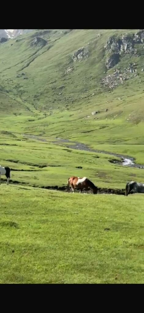 Trekker enjoying the view at Dudipatsar Lake