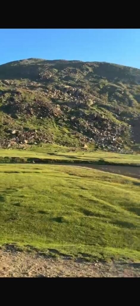 Green alpine meadows on the Dudipatsar Lake trekking route