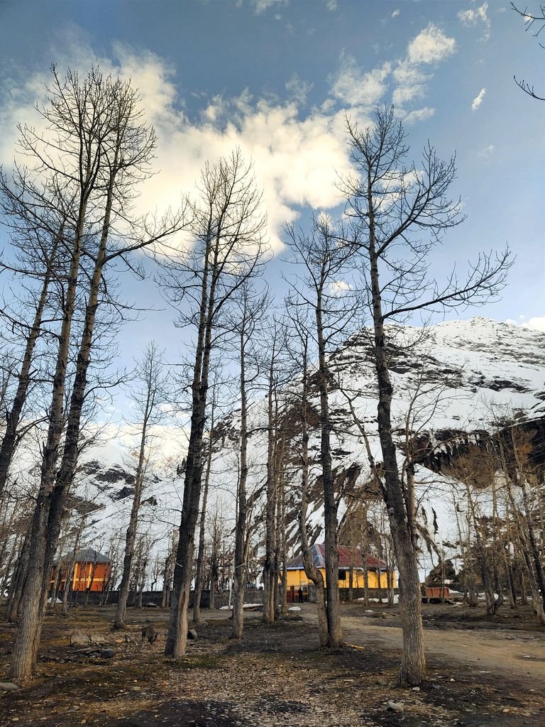 15 The Best Things to Do in Skardu for an Unforgettable Trip 9 Winter scene of bare trees and snowy mountains under a cloudy sky.