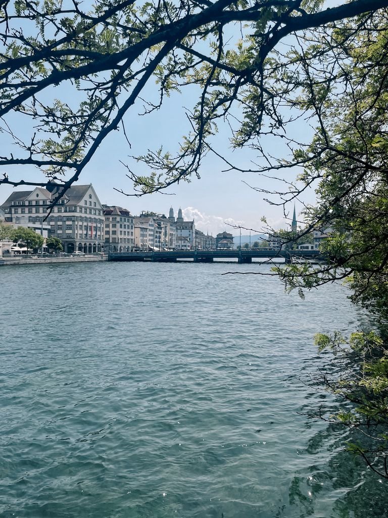 Beautiful riverside view in Zurich with historic buildings and a bridge under a clear sky.